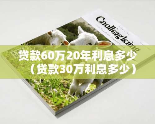 贷款60万20年利息多少（贷款30万利息多少）