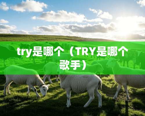 try是哪个（TRY是哪个歌手）