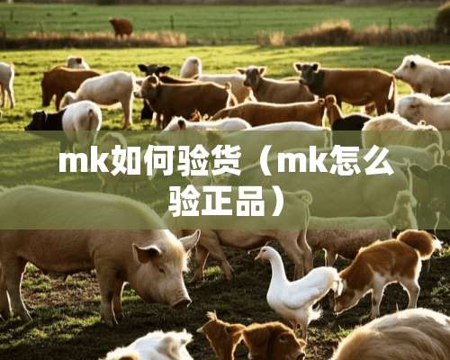 mk如何验货（mk怎么验正品）