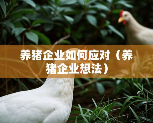 养猪企业如何应对（养猪企业想法）