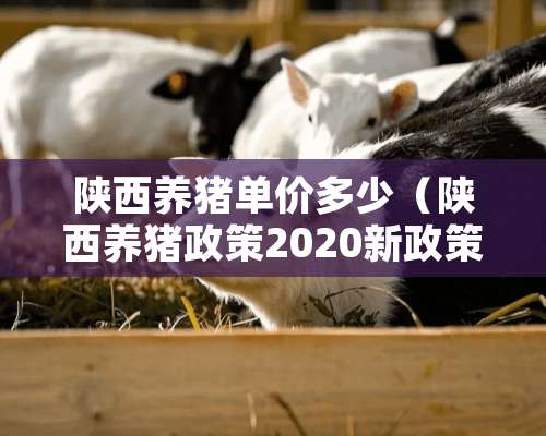 陕西养猪单价多少（陕西养猪政策2020新政策）