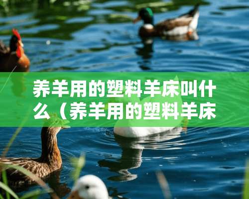 养羊用的塑料羊床叫什么（养羊用的塑料羊床叫什么品牌）