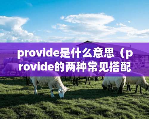 provide是什么意思（provide的两种常见搭配）