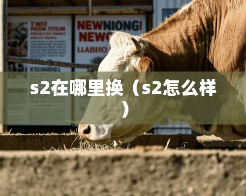 s2在哪里换（s2怎么样）