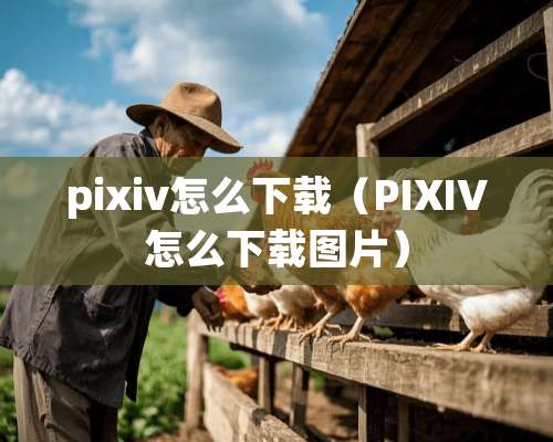 pixiv怎么下载（PIXIV怎么下载图片）