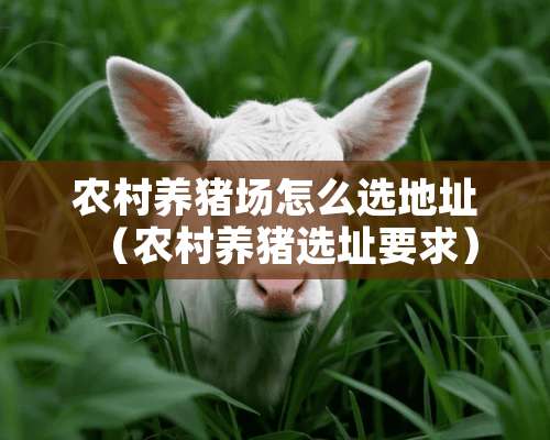 农村养猪场怎么选地址（农村养猪选址要求）