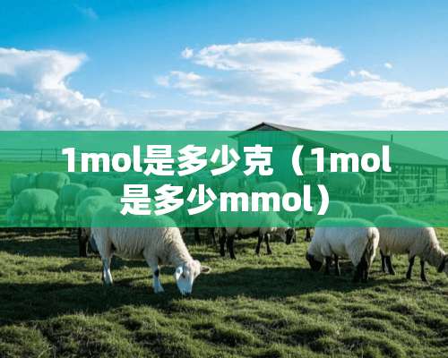 1mol是多少克（1mol是多少mmol）