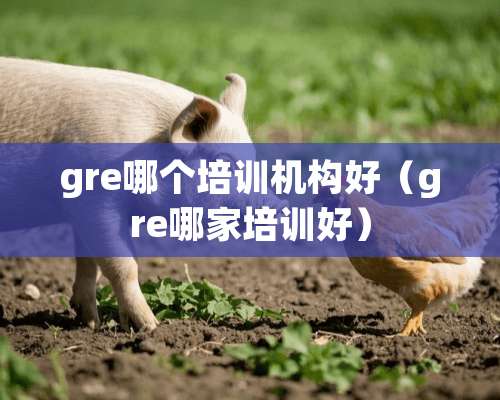 gre哪个培训机构好（gre哪家培训好）