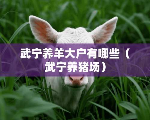 武宁养羊大户有哪些（武宁养猪场）