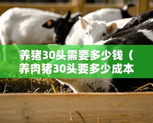 养猪30头需要多少钱（养肉猪30头要多少成本）