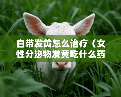 白带发黄怎么治疗（女性分泌物发黄吃什么药好）