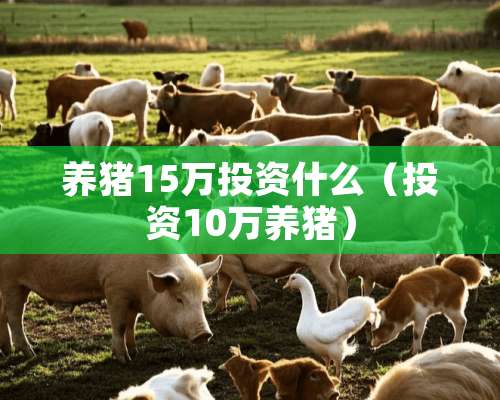 养猪15万投资什么（投资10万养猪）