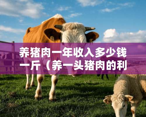 养猪肉一年收入多少钱一斤（养一头猪肉的利润有多少）