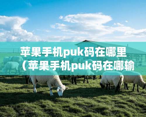 苹果手机puk码在哪里（苹果手机puk码在哪输入）