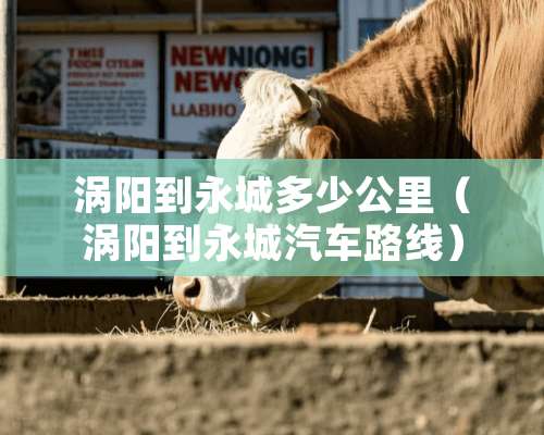 涡阳到永城多少公里（涡阳到永城汽车路线）