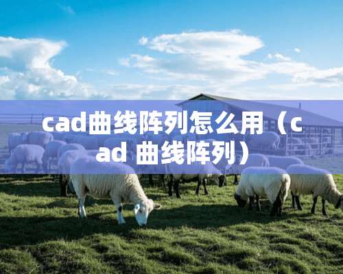 cad曲线阵列怎么用（cad 曲线阵列）