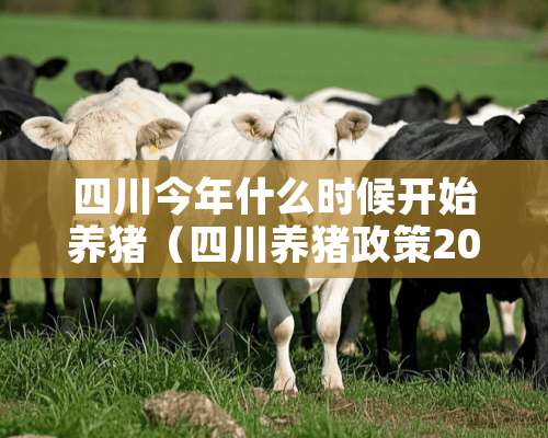 四川今年什么时候开始养猪（四川养猪政策2020新政策）