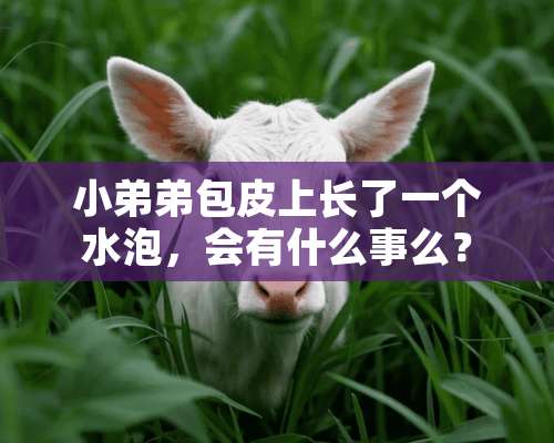 ***包皮上长了一个水泡，会有什么事么？