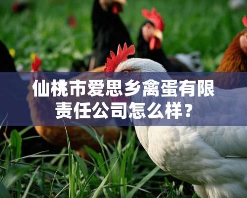 仙桃市爱思乡禽蛋有限责任公司怎么样？