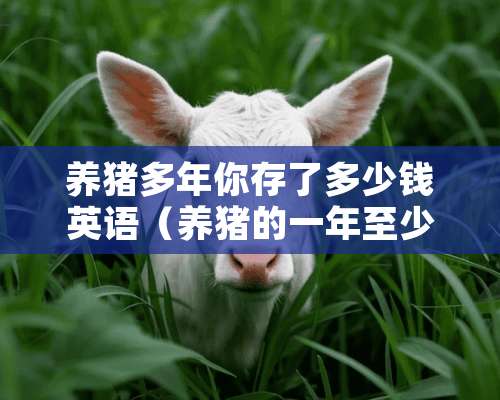 养猪多年你存了多少钱英语（养猪的一年至少赚多少钱）