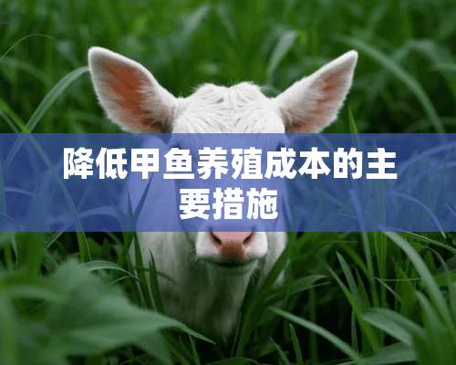 降低甲鱼养殖成本的主要措施