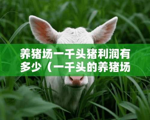 养猪场一千头猪利润有多少（一千头的养猪场）