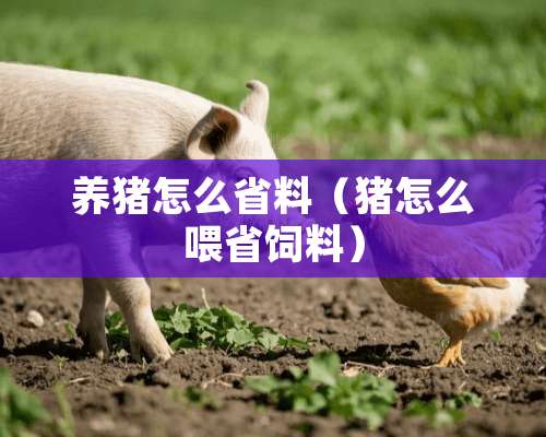 养猪怎么省料（猪怎么喂省饲料）