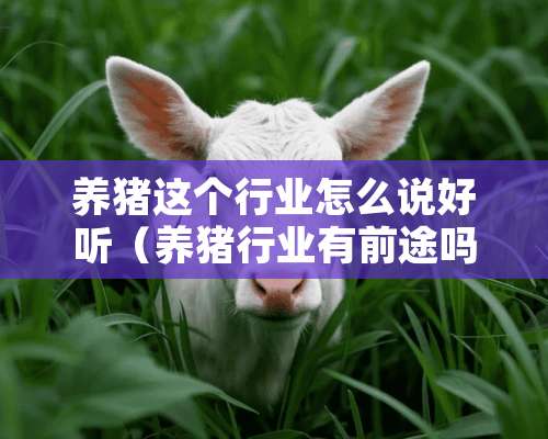 养猪这个行业怎么说好听（养猪行业有前途吗）