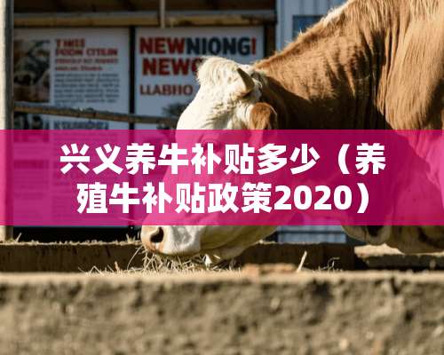 兴义养牛补贴多少（养殖牛补贴政策2020）