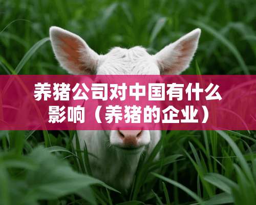 养猪公司对中国有什么影响（养猪的企业）