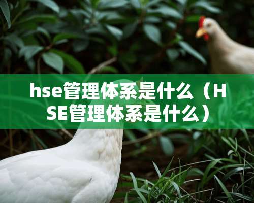 hse管理体系是什么（HSE管理体系是什么）