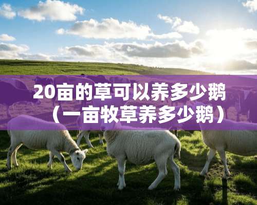 20亩的草可以养多少鹅（一亩牧草养多少鹅）