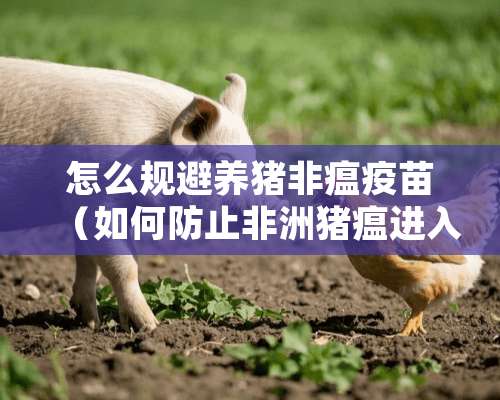 怎么规避养猪非瘟**（如何防止非洲猪瘟进入猪场之一）