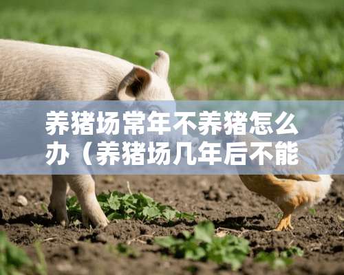 养猪场常年不养猪怎么办（养猪场几年后不能用了）