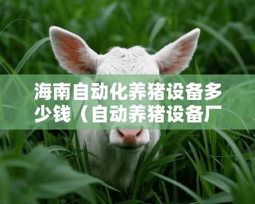 海南自动化养猪设备多少钱（自动养猪设备厂商）