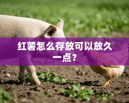 红薯怎么存放可以放久一点？