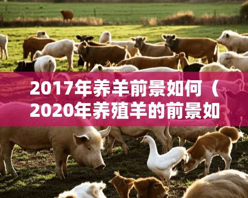 2017年养羊前景如何（2020年养殖羊的前景如何?）