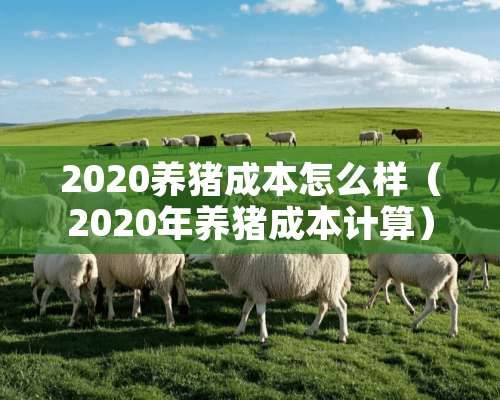 2020养猪成本怎么样（2020年养猪成本计算）