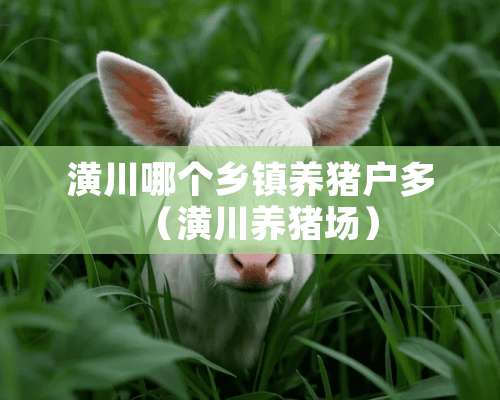 潢川哪个乡镇养猪户多（潢川养猪场）