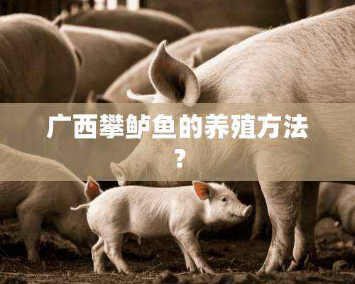 广西攀鲈鱼的养殖方法？