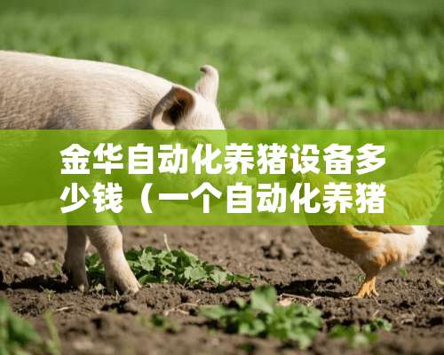 金华自动化养猪设备多少钱（一个自动化养猪设备猪舍价格）