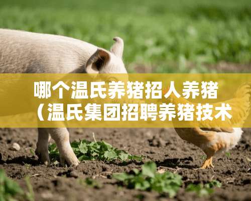 哪个温氏养猪招人养猪（温氏集团招聘养猪技术人员）