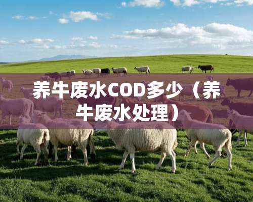 养牛废水COD多少（养牛废水处理）