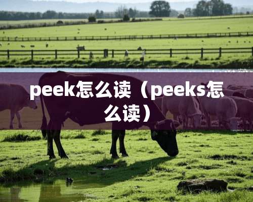 peek怎么读（peeks怎么读）