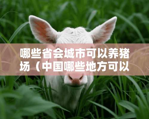 哪些省会城市可以养猪场（中国哪些地方可以养猪）