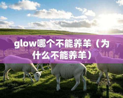 glow哪个不能养羊（为什么不能养羊）