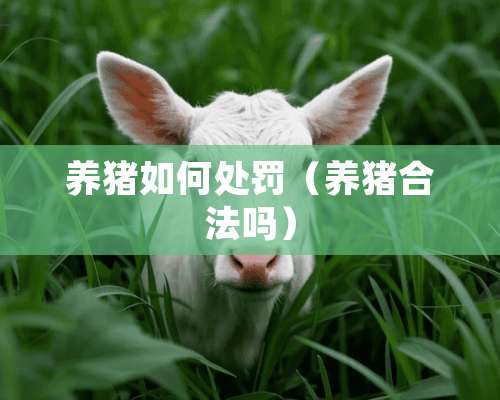 养猪如何处罚（养猪合法吗）