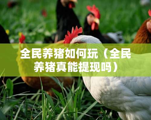 全民养猪如何玩（全民养猪真能提现吗）