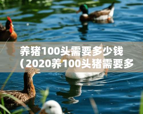 养猪100头需要多少钱（2020养100头猪需要多少成本）