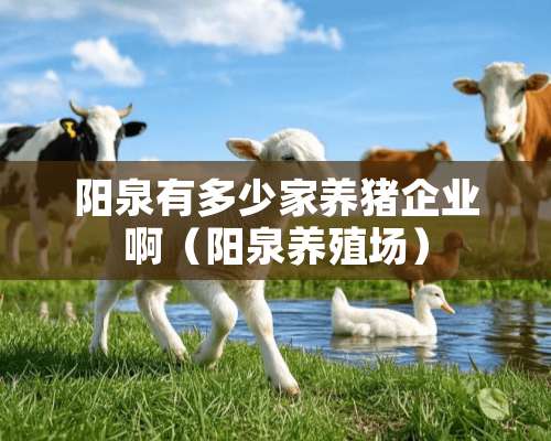 阳泉有多少家养猪企业啊（阳泉养殖场）